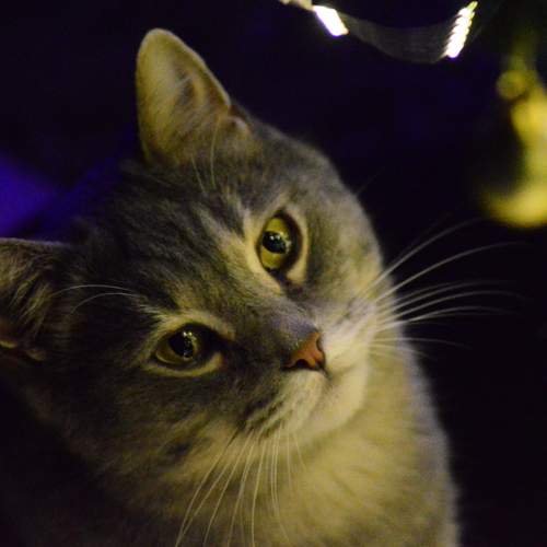Photo #13310988