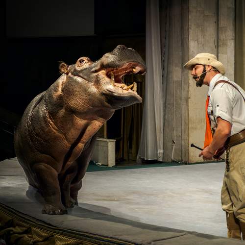 Photo #13311027