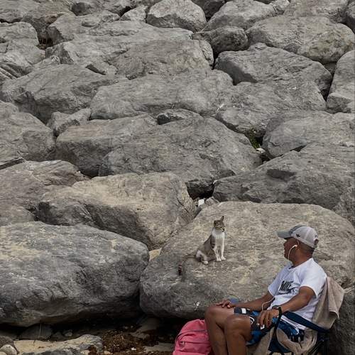 Photo #13311141