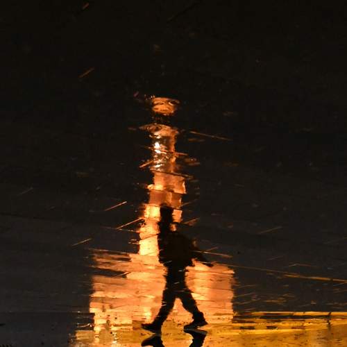 Photo #13311160