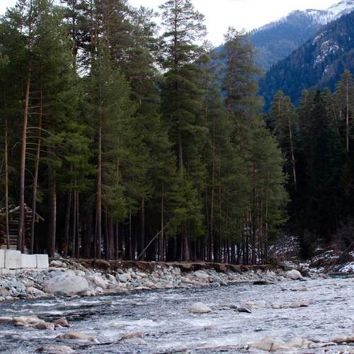Photo #13311223