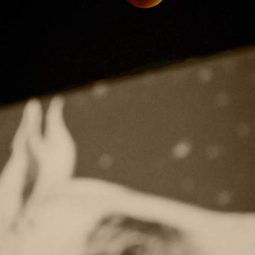 Photo #13311233