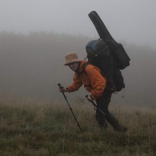 Photo #13311366