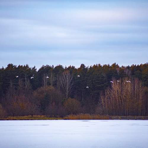 Photo #13311369