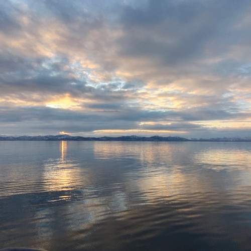 Photo #13311370
