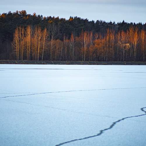 Photo #13311372