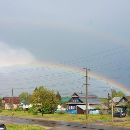 Photo #13311535