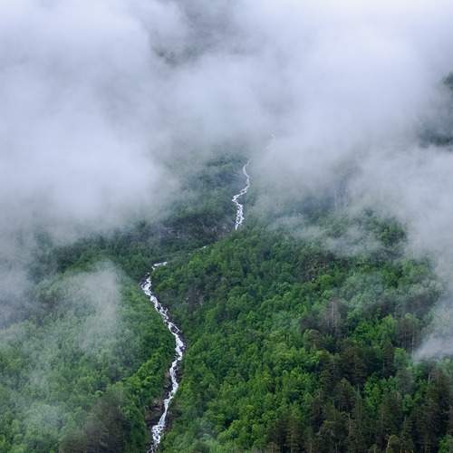 Photo #13311566