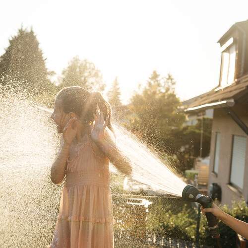 Photo #13311636