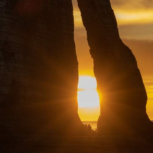 Photo #13311646