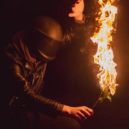 Photo #13311666