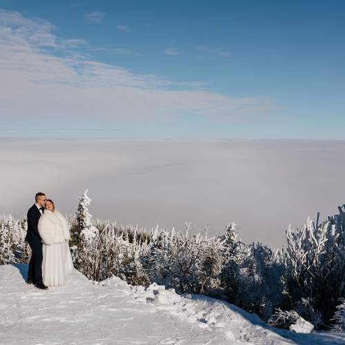Photo #13311758