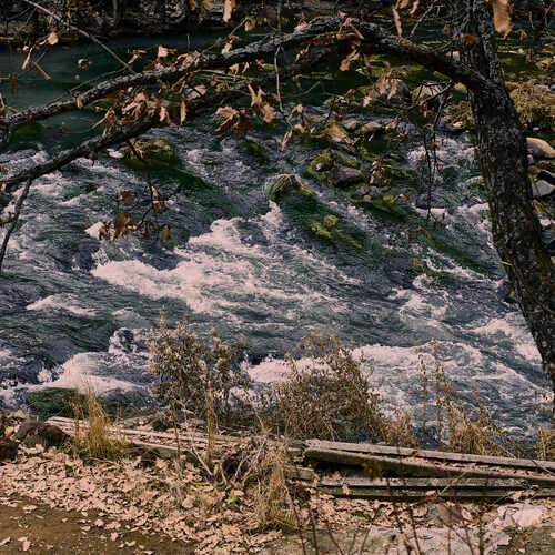 Фотография #13311776