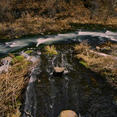 Фотография #13311780