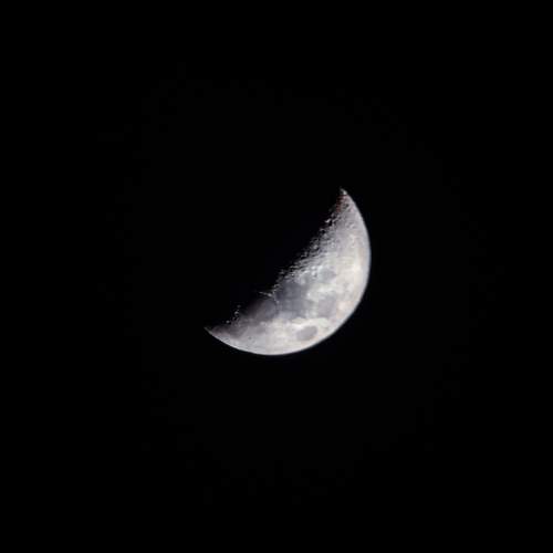 Photo #13311827