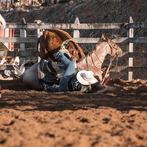 Photo #13311972