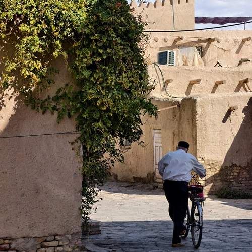 Photo #13312001