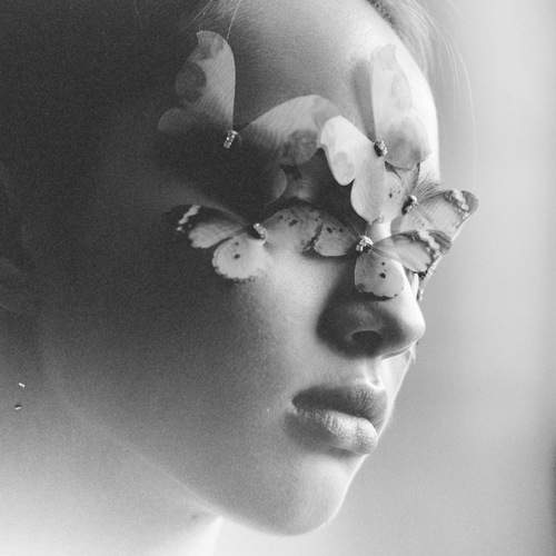 Photo #13312028