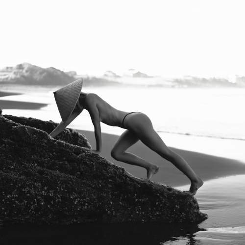 Photo #13312033