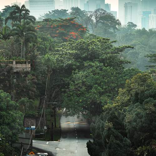 Фотография #13312048