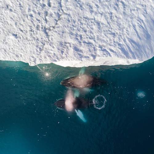 Фотография #13312051