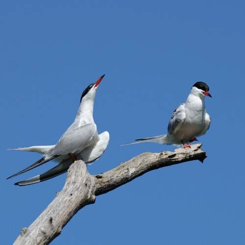 Photo #13312104