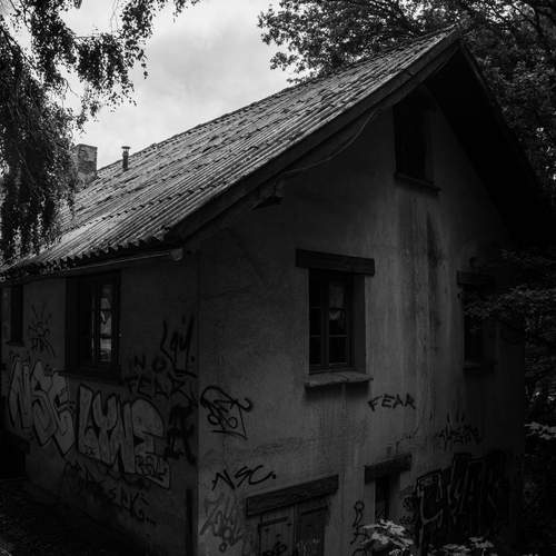 The Canvas of Oblivion