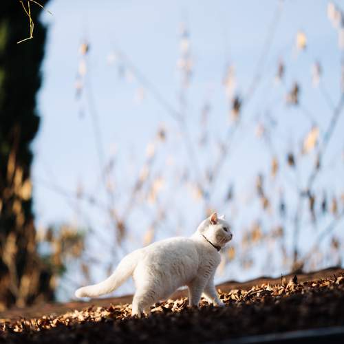 Photo #13312246
