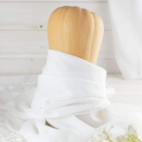 Photo #13312294
