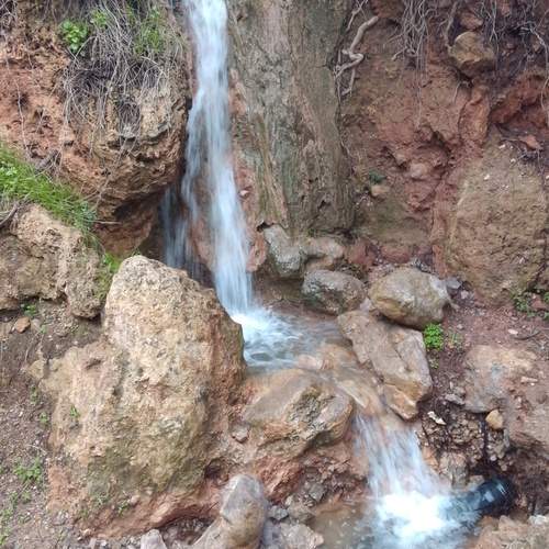 Photo #13312320
