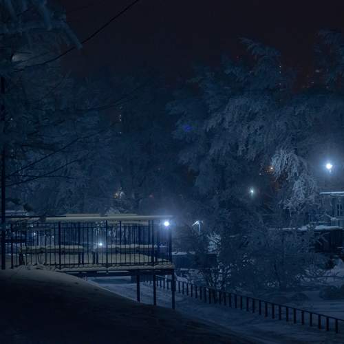 Photo #13312327