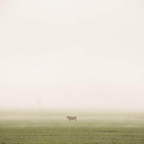 Photo #13312338
