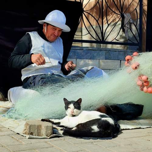 Photo #13312351