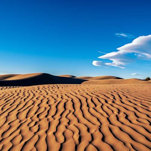 Photo #13312462