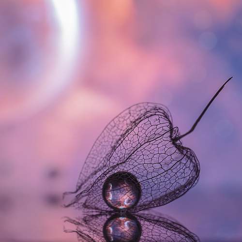 Photo #13312546
