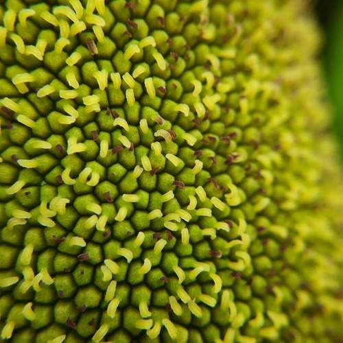 Photo #13312604