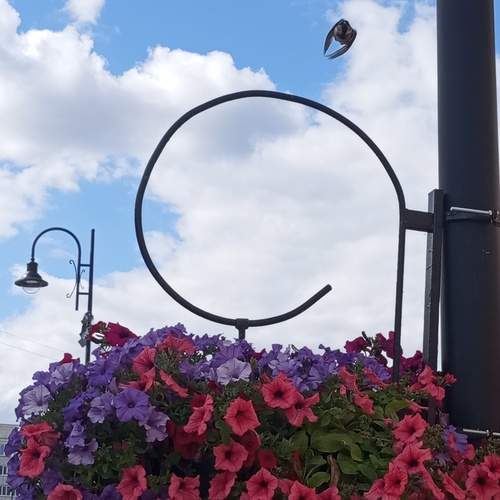Photo #13312634