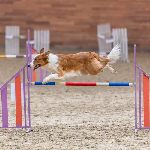 Фотография #13312674