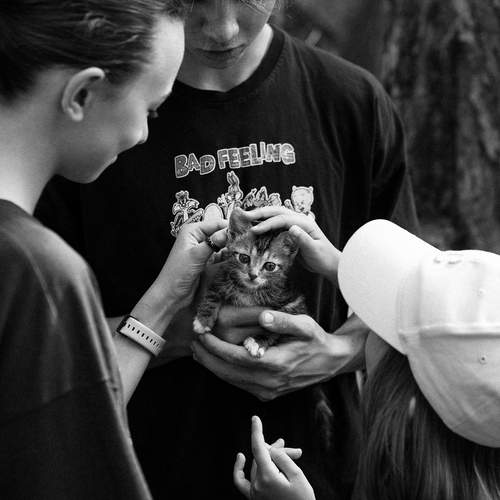 Photo #13312722