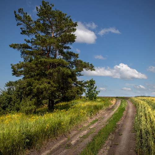 Photo #13312725