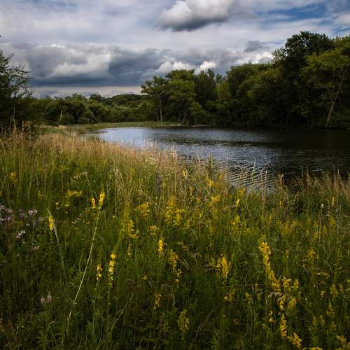 Photo #13312743