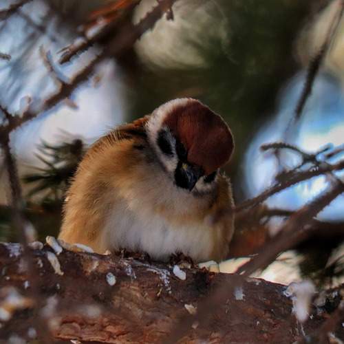 Photo #13312792