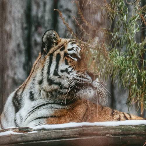 Photo #13312844