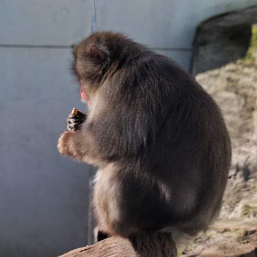 Photo #13312856