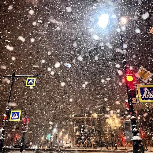 Photo #13312911