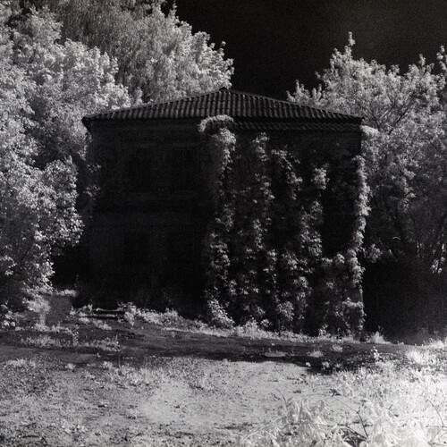Photo #13313052
