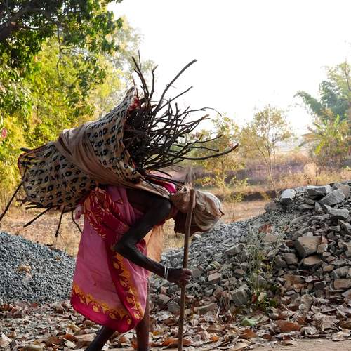Indomitable Spirit: A Portrait of Resilience