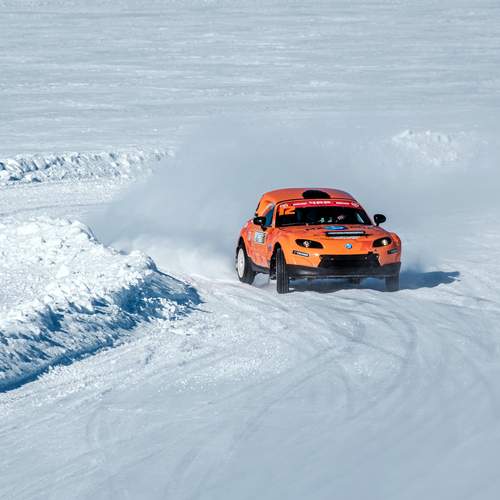 Фотография #13313193