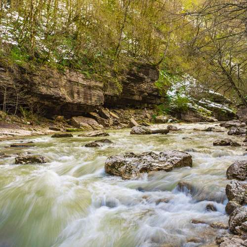 Photo #13313198