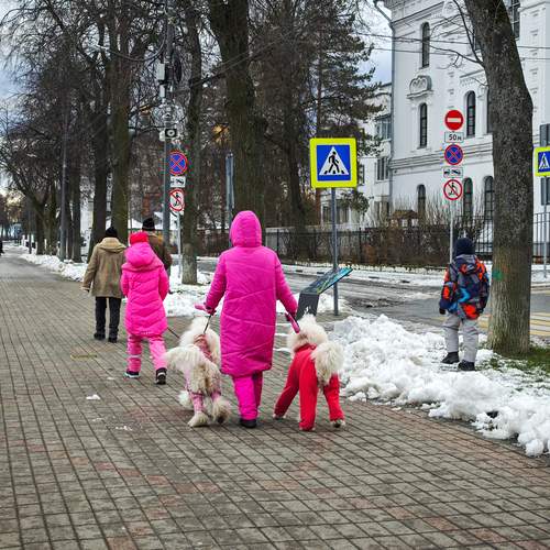 Photo #13313284